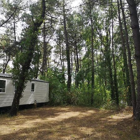 Le Ilo - Camping La Dune Blanche Camiers Exteriör bild
